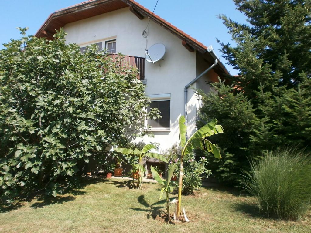 Feher Rozsa Apartman Сержегтомай Екстер'єр фото